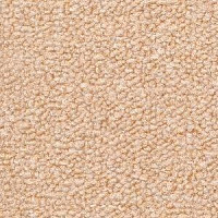 Ковролин Radici Trotter Vaniglia 2420 фото 1 | FLOORDEALER